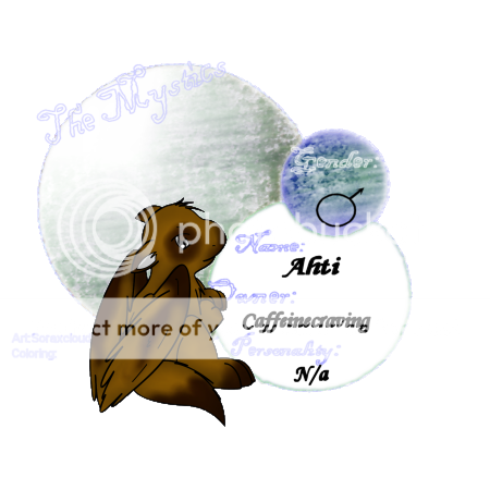 User Image